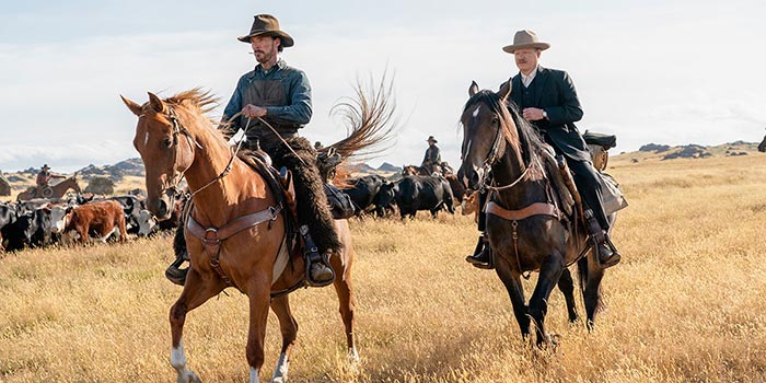 кадр Власть пса 5