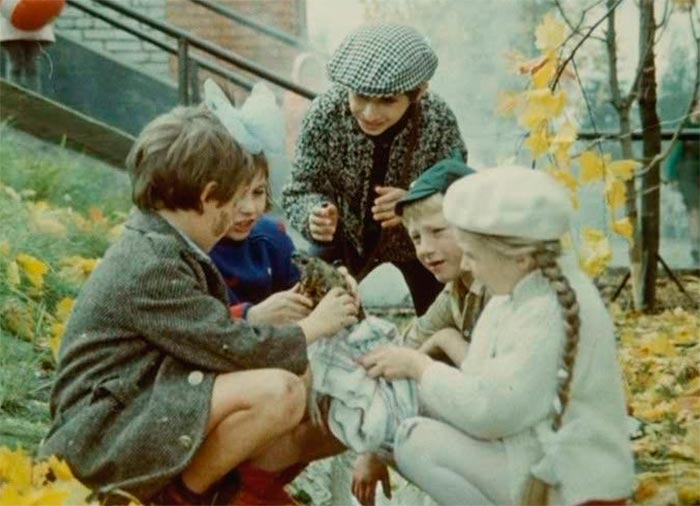 Кадр из фильма Внимание, черепаха! кадр Внимание, черепаха! 3