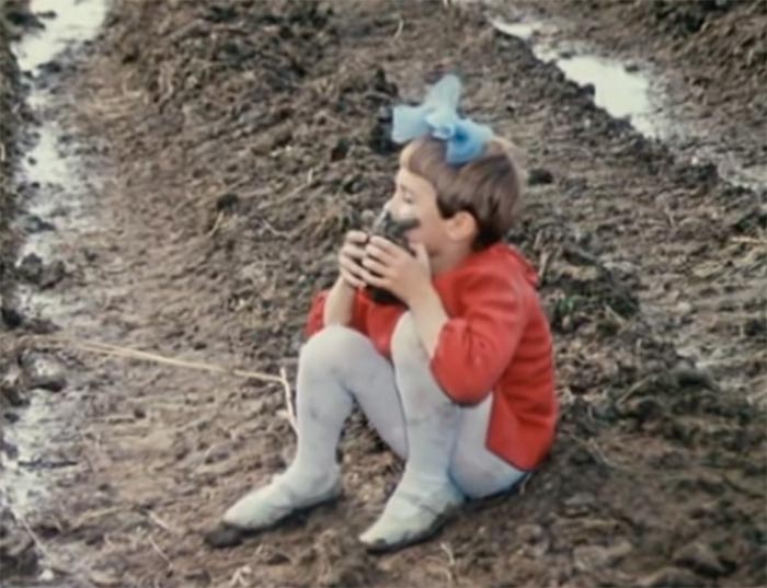 Кадр из фильма Внимание, черепаха! кадр Внимание, черепаха! 11