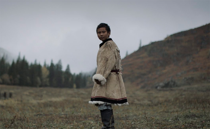 кадр Волки 6