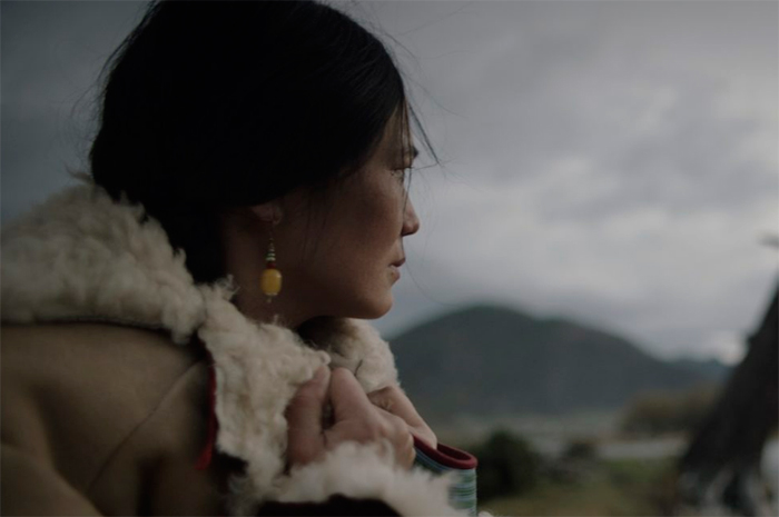 кадр Волки 11