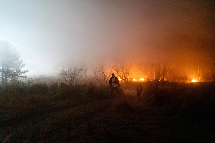 кадр Волны 6