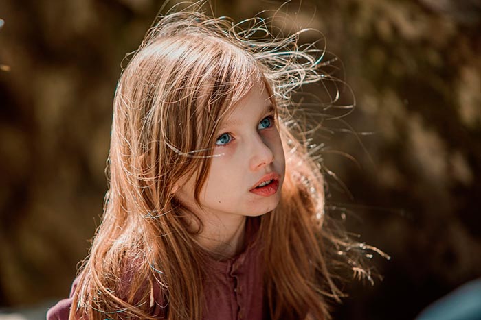 кадр Волшебник Изумрудного города. Дорога из желтого кирпича 2