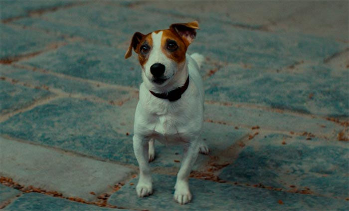 кадр Волшебник Изумрудного города. Дорога из желтого кирпича 10