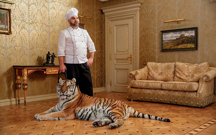 Кадр из фильма Возвращение попугая Кеши кадр Возвращение попугая Кеши 10