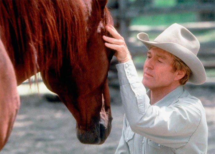 кадр Заклинатель лошадей 3