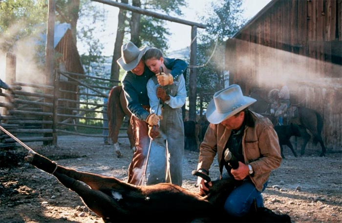 кадр Заклинатель лошадей 10