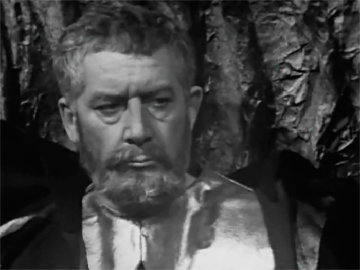 кадр Замок герцога Синей Бороды 4