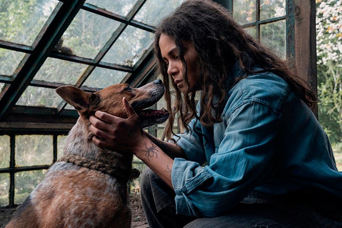 кадр Затерянное место 4