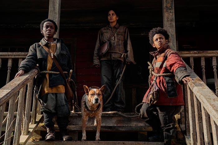 кадр Затерянное место 5