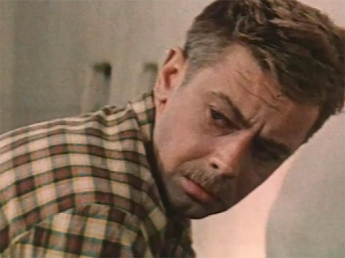 кадр Журавль в небе... 7