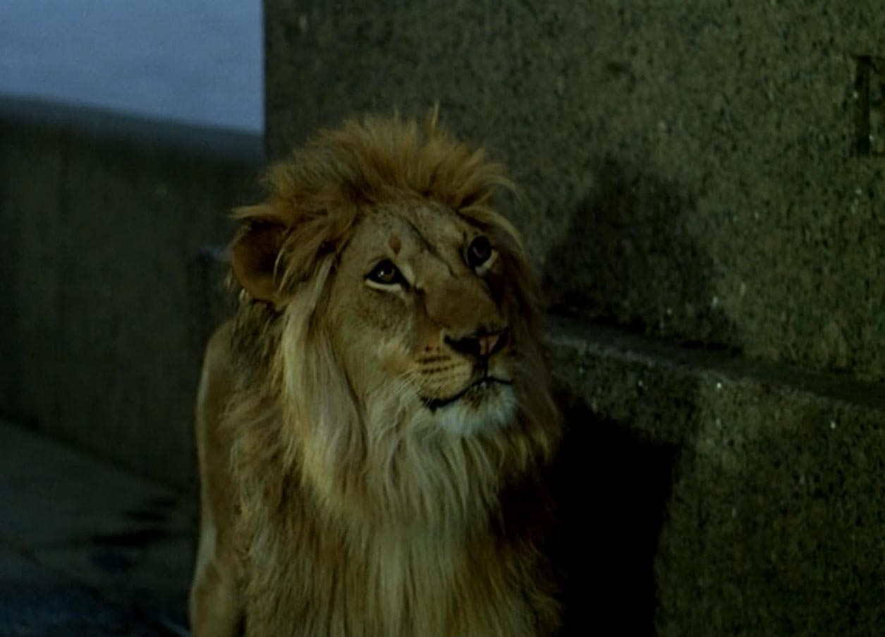 кадр Невероятные приключения итальянцев в России 41