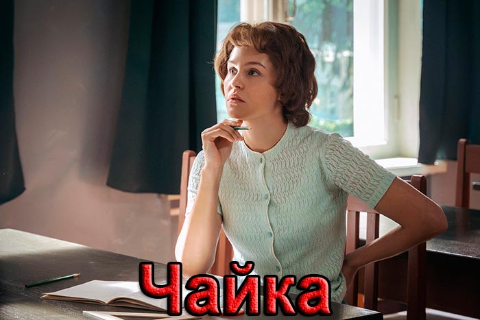 постер Чайка