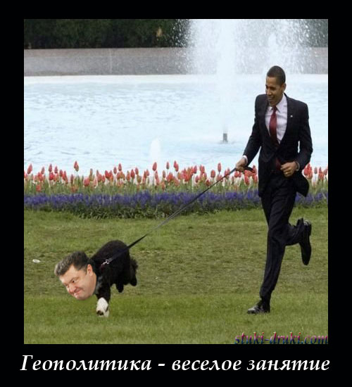 Обама с собачкой с лицом Порошенко