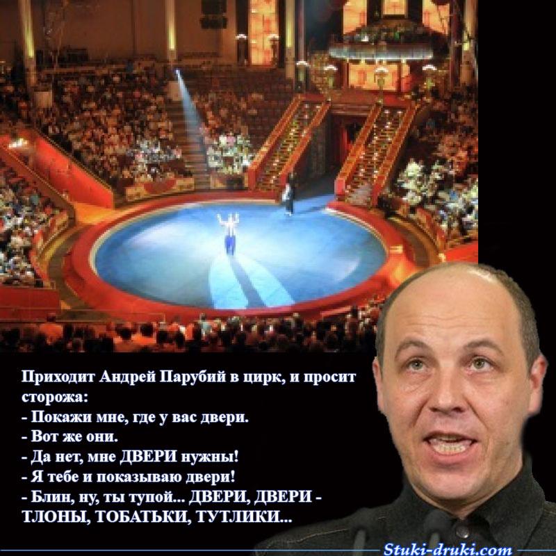 Андрей Парубий в цирке