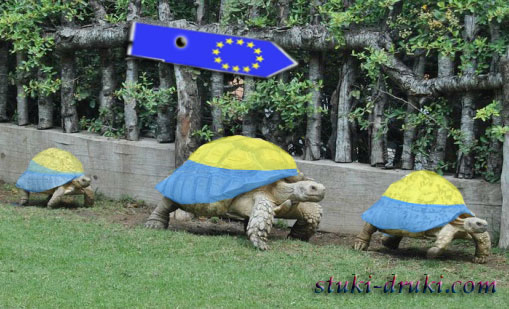 Жовто-блакитные черепахи идут в Европу