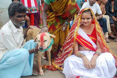 Индия Свадьба женщины и собаки 1