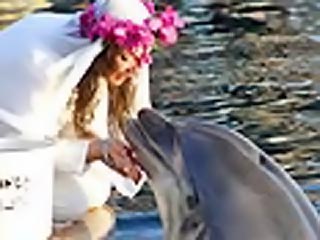 Свадьба женщины и дельфина 1