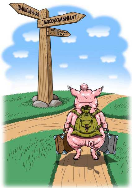 украинская политика в карикатурах Свинья на распутье