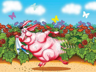 украинская политика в карикатурах Свинья и бабочки