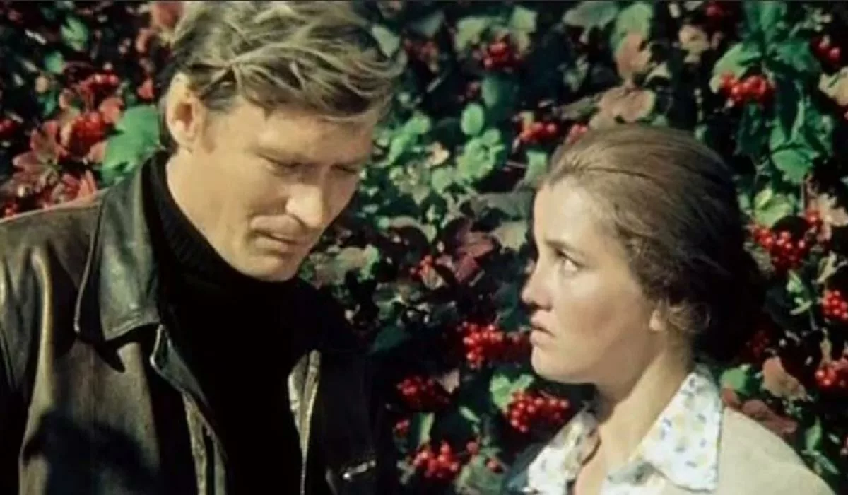 Александр Михайлов в фильме Приезжая Александр Михайлов в фильме Приезжая