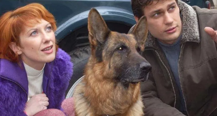 Александр Волков в сериале Возвращение Мухтара Александр Волков в сериале Возвращение Мухтара