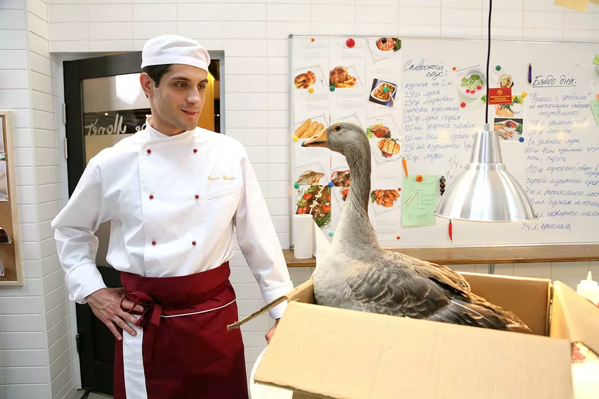 Марк Богатырёв в сериале Кухня 2