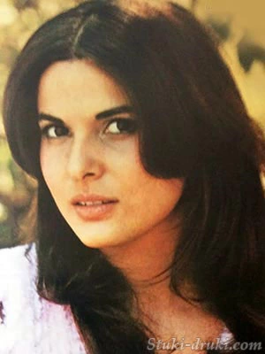 Симонетта Стефанелли