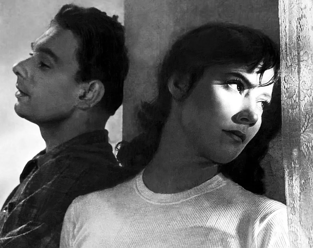 Татьяна Самойлова в фильме Летят журавли Татьяна Самойлова в фильме Летят журавли 2