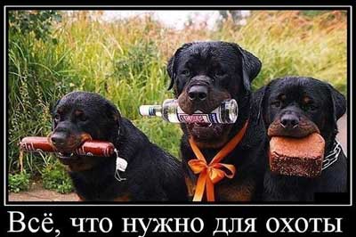 Три собаки, которые держат в пасти бутылку водки, хлеб и колбасу