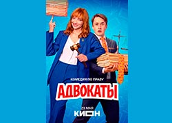 Адвокаты