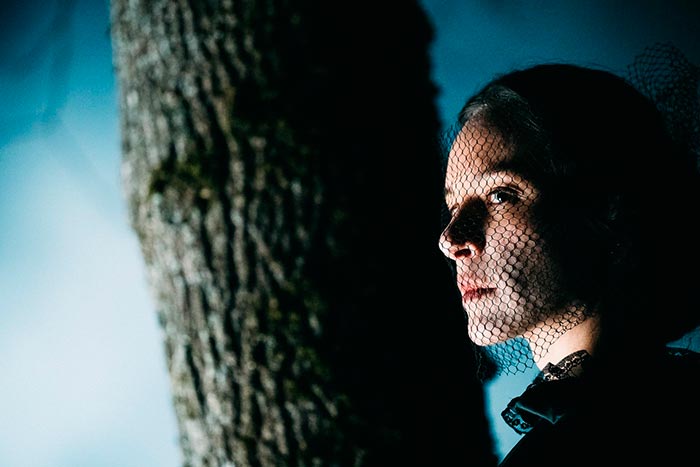 кадр Чёрная графиня 8