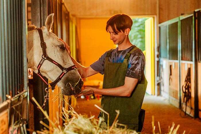 кадр Цирк! 6