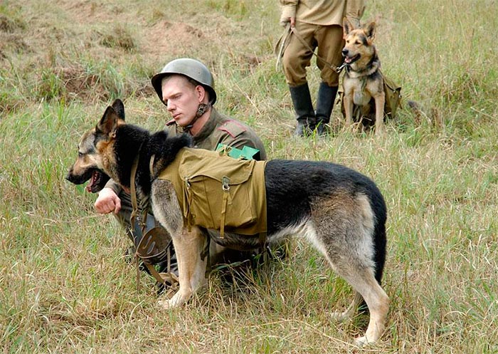 Кадр из сериала Далеко от войны кадр Далеко от войны 3