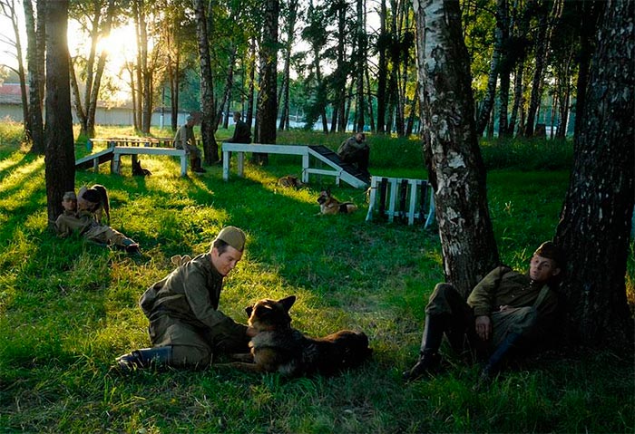 Кадр из сериала Далеко от войны кадр Далеко от войны 4