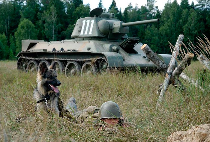 Кадр из сериала Далеко от войны кадр Далеко от войны 8