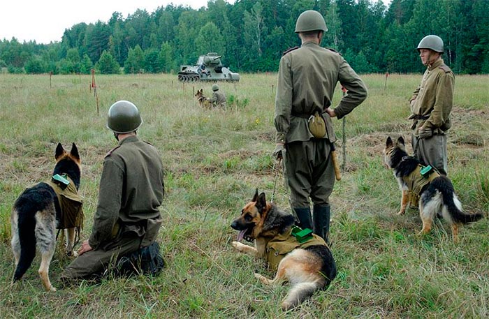 Кадр из сериала Далеко от войны кадр Далеко от войны 10