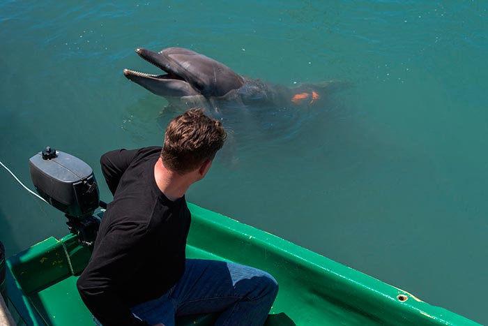 Кадр из сериала Дельфин 2 сезон кадр Дельфин 2 сезон 2