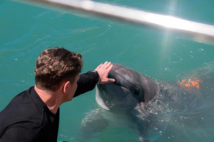 Кадр из сериала Дельфин 2 сезон кадр Дельфин 2 сезон 3