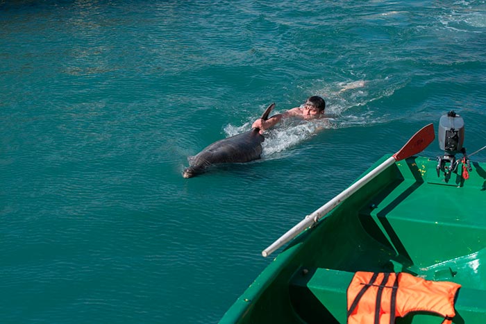 Кадр из сериала Дельфин 2 сезон кадр Дельфин 2 сезон 4