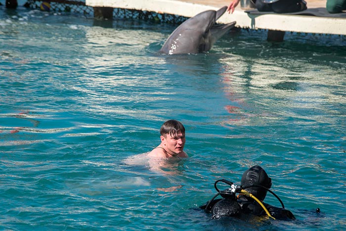 Кадр из сериала Дельфин 2 сезон кадр Дельфин 2 сезон 5