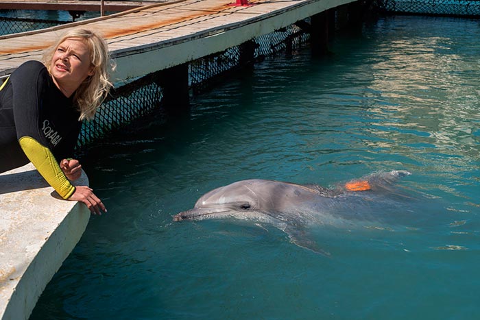 Кадр из сериала Дельфин 2 сезон кадр Дельфин 2 сезон 6