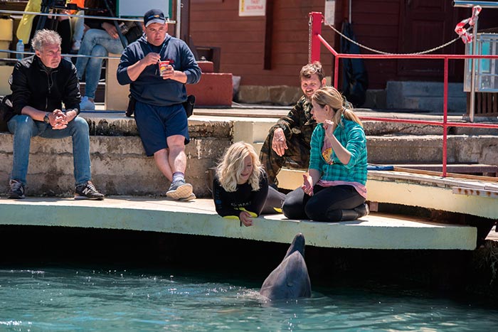 Дельфин актеры и роли фото