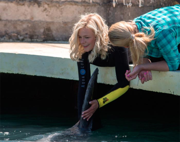 Кадр из сериала Дельфин 2 сезон кадр Дельфин 2 сезон 10