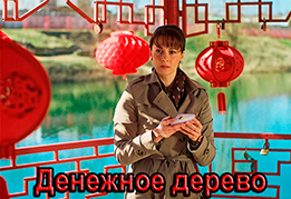 Денежное дерево