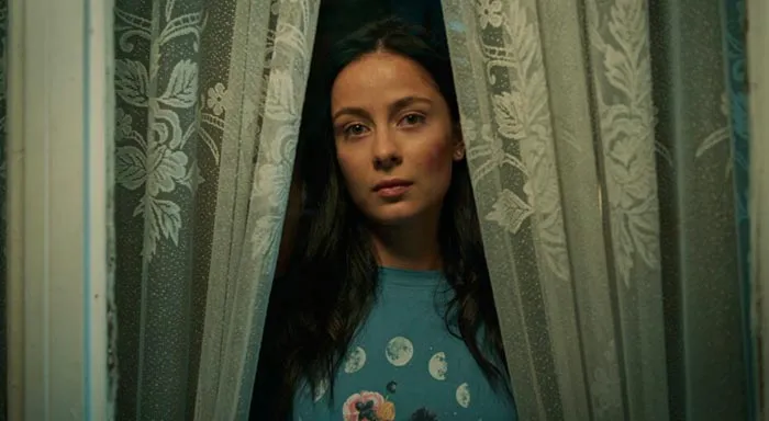 кадр Деревянный гребешок 2