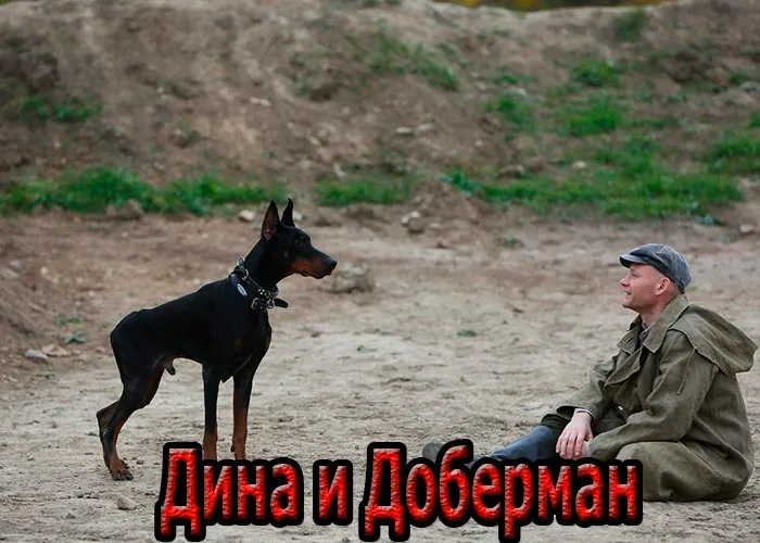 Кадр из сериала Дина и Доберман постер Дина и Доберман