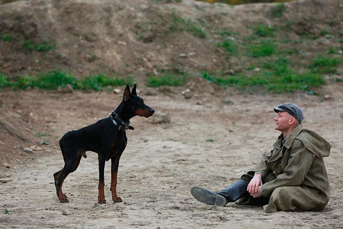 Кадр из сериала Дина и Доберман кадр Дина и Доберман 11