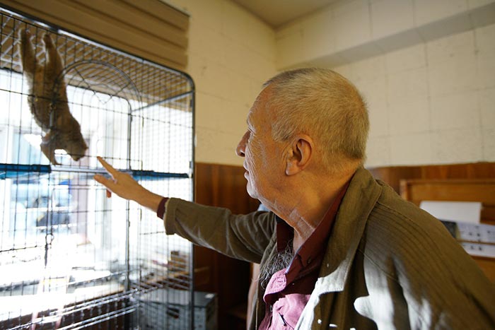 Кадр из сериала Динозавр 2 сезон кадр Динозавр 2 сезон 4