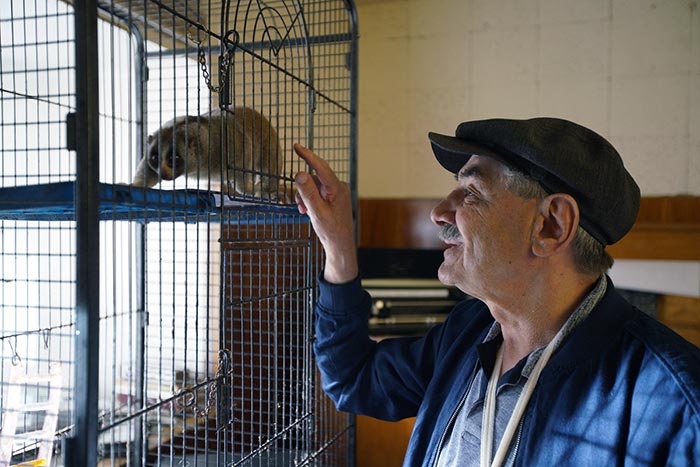 Кадр из сериала Динозавр 2 сезон кадр Динозавр 2 сезон 5